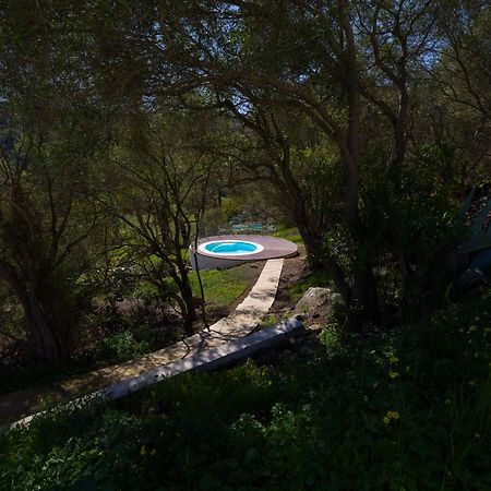 Agroturismo Suites Hacienda Los Olivos Santa Brígida Exterior foto